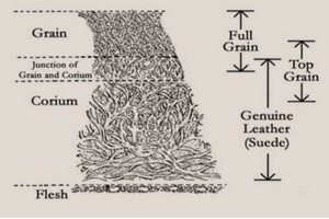 What is Top Grain Leather? - Definition, Types & Information