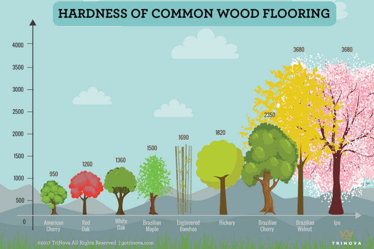What Hardwood Floors Are Most Durable, Hardwood Flooring Durability Chart