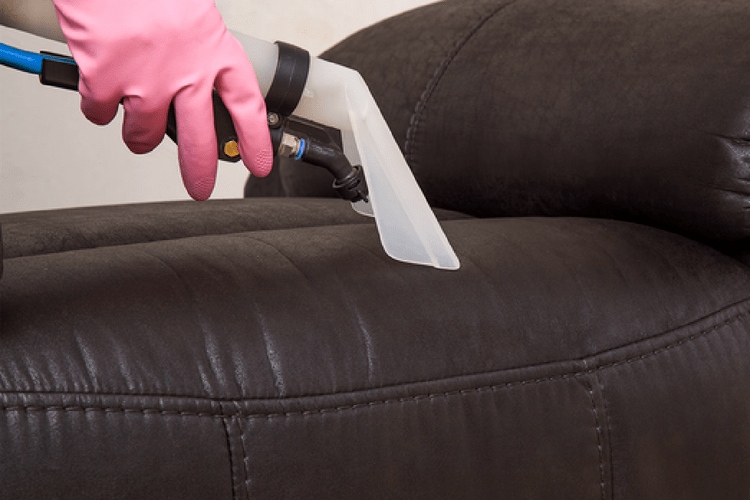 How to Clean a Leather Couch