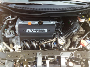 Car Engine protected with 303 Automotive Protectant