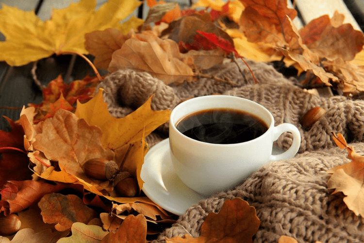 7 Best Fall K Cups You Can Buy on Amazon Right Now Gold 