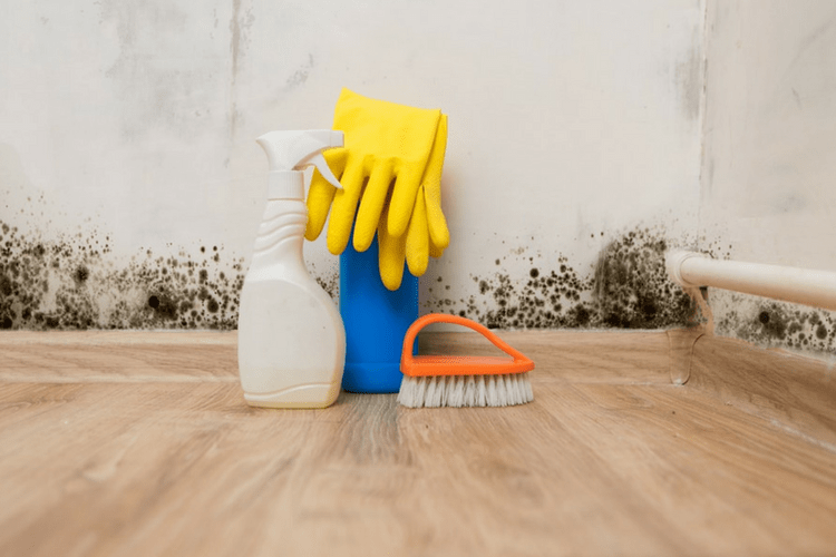 spray bottle, brush, and rubber gloves on floor with black mold in background