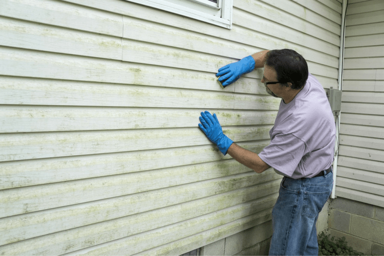 Clean your vinyl siding regularly to prevent mold and mildew stains.