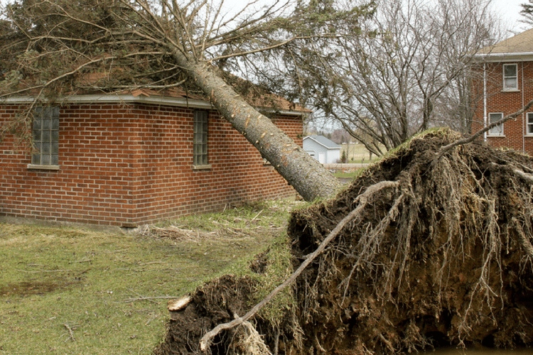 This guide will help you plan your emergency preparedness kit.