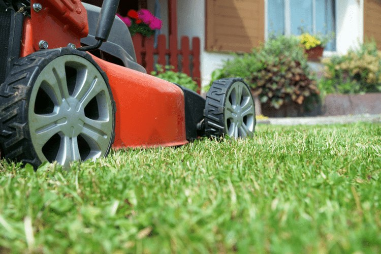 Find out what type and how much oil you should use for your pushmower. 