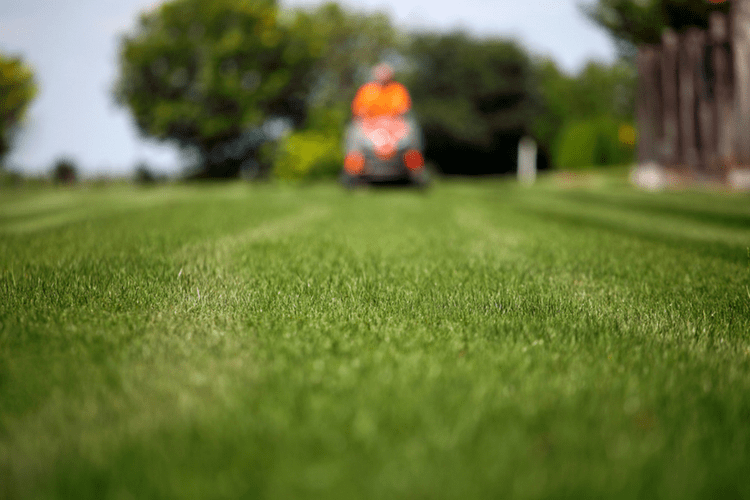 List of 20+ What oil do lawn mowers take 2 What Oil Should You Use for Your Lawnmower
