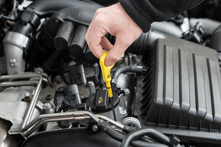 Do you know the difference between regular and synthetic oil?