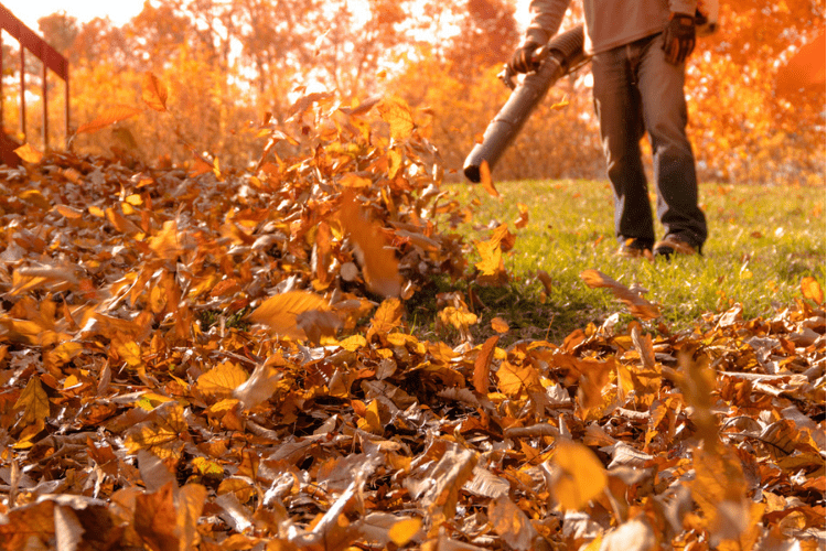 Clean up those leaves! Regular maintenance and care of your leaf blower is important when getting your equipment ready for fall.