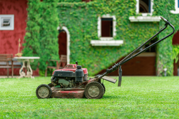 Find out why a mulching mower may be best for you.