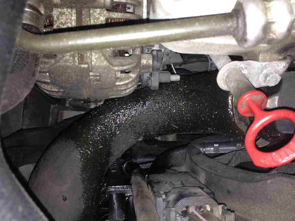 How to Extend the Life of Your Rubber Hoses Gold Eagle