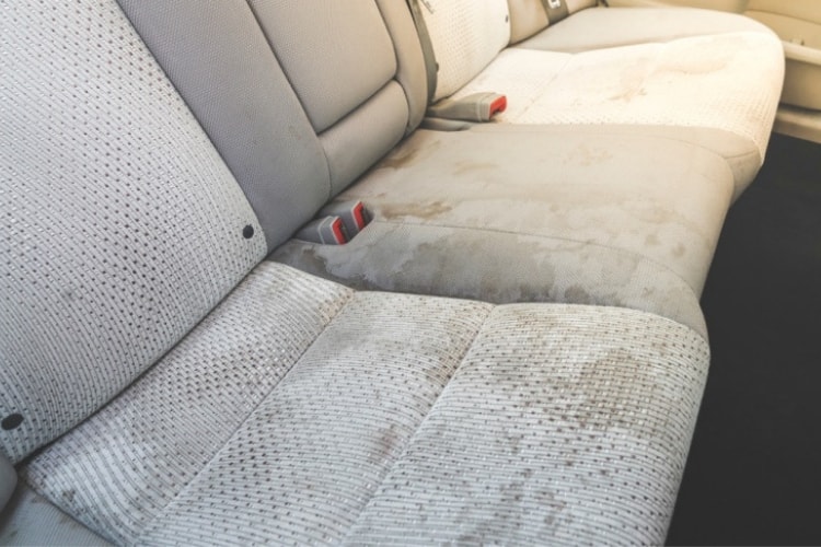 Using Stain Guard Spray To Keep Your, How To Clean Fabric Car Seats
