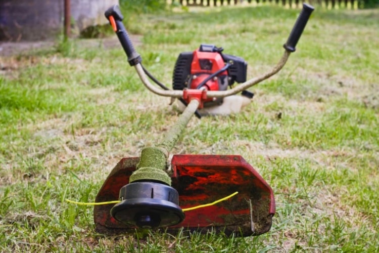 Almost half of 51 regions charted in the United States use "weed eater", with about 70 percent of searches using the term.