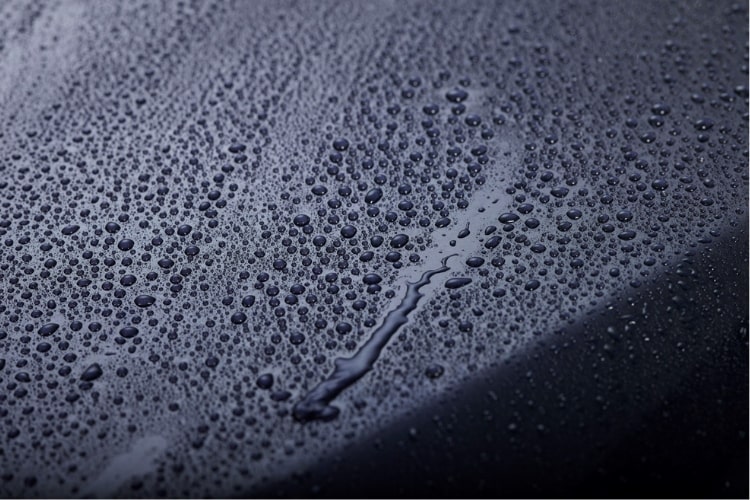 303 Touchless Sealant features polymers that actually attach to car paint.