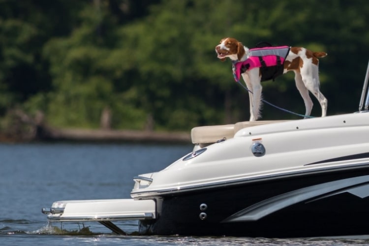 Ski boats are loads of fun. But despite this (or perhaps because of this) they also need regular upkeep.