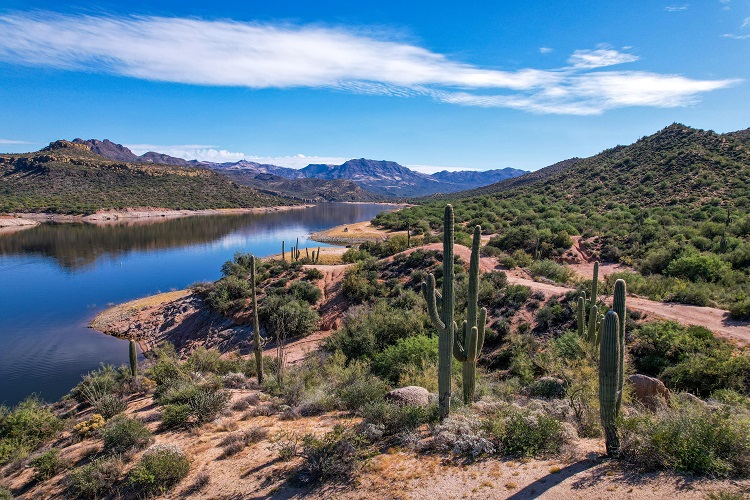 aerial view of desert landscape with cacti, river, and blue skies