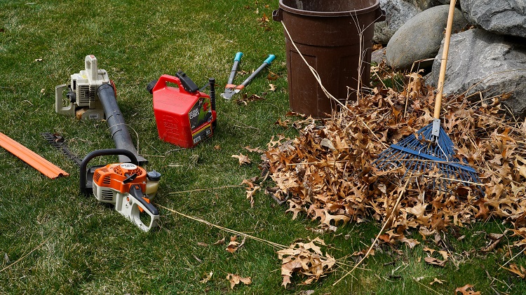 leaves and power tools scattered on lawn