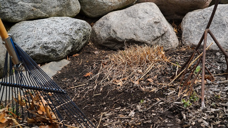 flower bed with rake in view