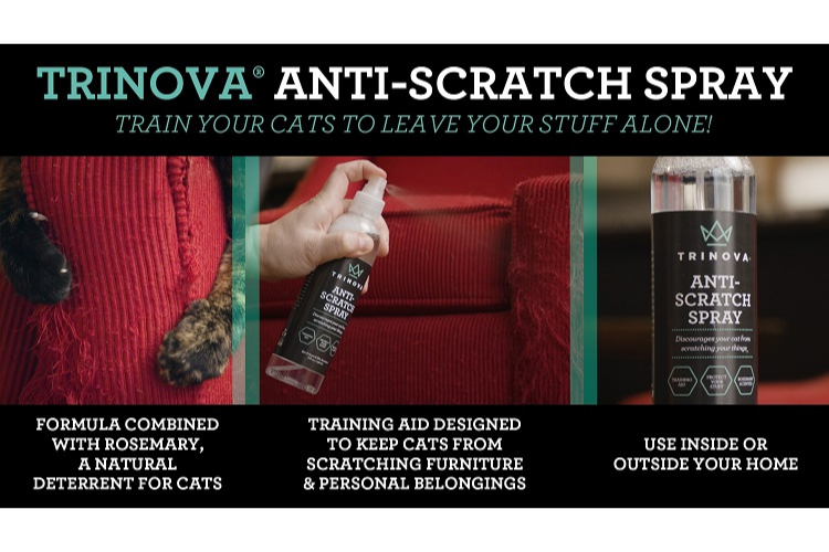 TriNova Anti Scratch Spray Infographic