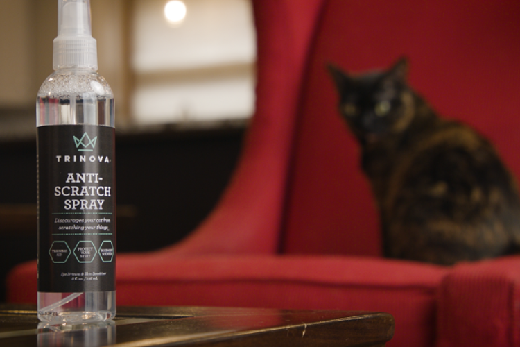 cat on couch with bottle of TriNova-Anti-Scratch-Spray in foreground