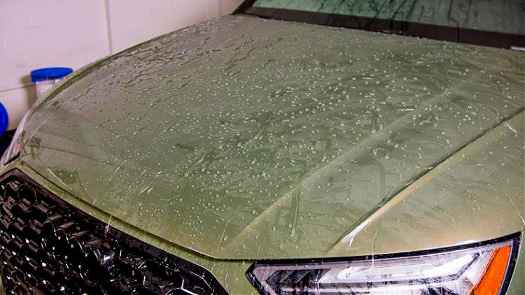 30262 In Use Water Beading Green Audi Q5 Hood 2