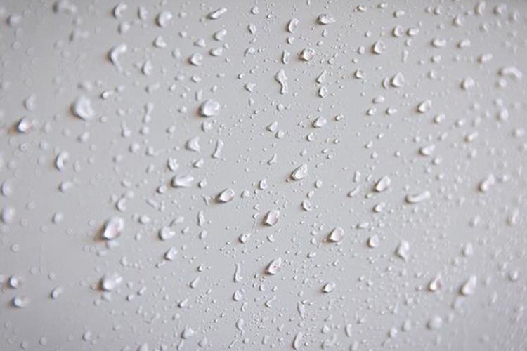 30283 In Use AFTER Water Beads Close Up 1 (1) 1